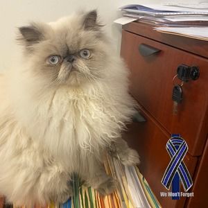 Meet your Posher, Leanne